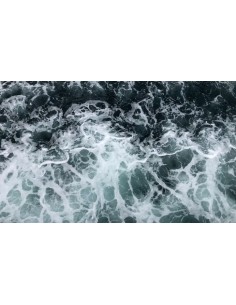 ORTO PARISI  " MEGAMARE " 2