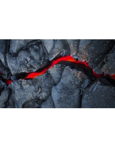 ORTO PARISI  " TERRONI " 2