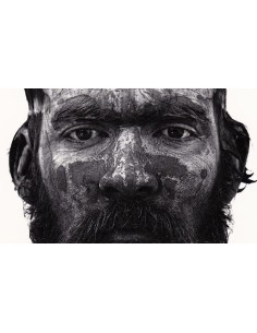 ORTO PARISI " BRUTUS " 2