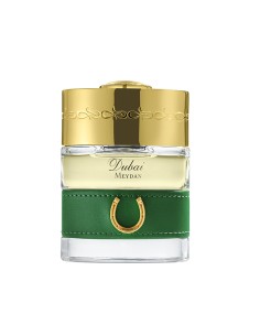 THE SPIRIT OF DUBAI MEYDAN