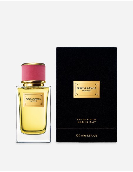 DOLCE&GABBANA VELVET ROSE