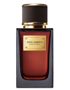 DOLCE&GABBANA VELVET ZAFFERANO