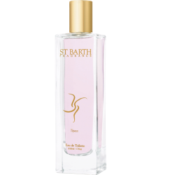 LIGNE ST BARTH TIJUCA